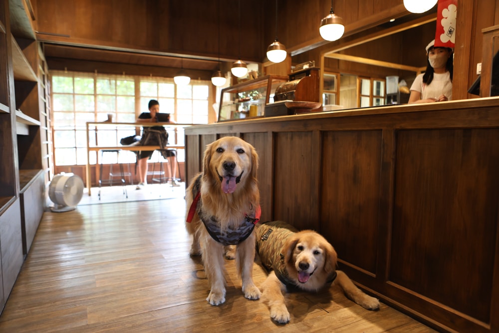 嘉義景點｜檜意森活村。寵物友善景點、森咖啡（雞蛋仔鬆餅咖啡廳）、湯城鵝行（鵝油專賣所）