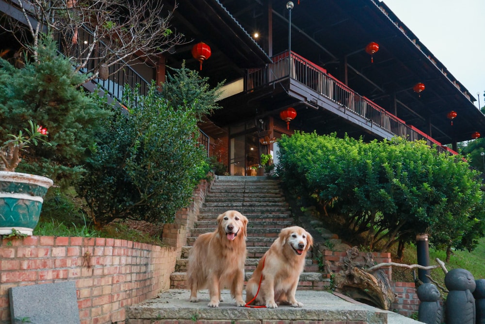 嘉義清豐濤月景觀餐廳|養生足湯泡腳、寵物友善餐廳、嘉義台版神隱少女湯屋、石頭火鍋 - 第1張圖 嘉義清豐濤月景觀餐廳|養生足湯泡腳、寵物友善餐廳、嘉義台版神隱少女湯屋、石頭火鍋