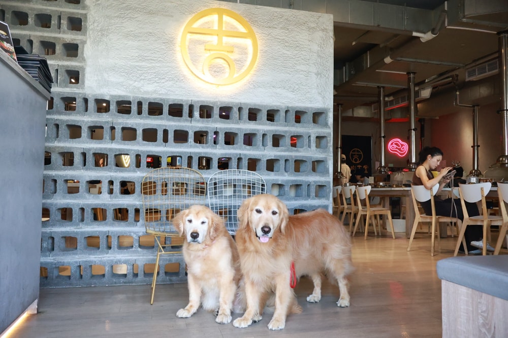 燒肉吉室 宜蘭燒肉吃到飽｜宜蘭寵物友善餐廳、狗狗鮮食餐吃到飽、炭火燒烤、桌邊撥蝦服務
