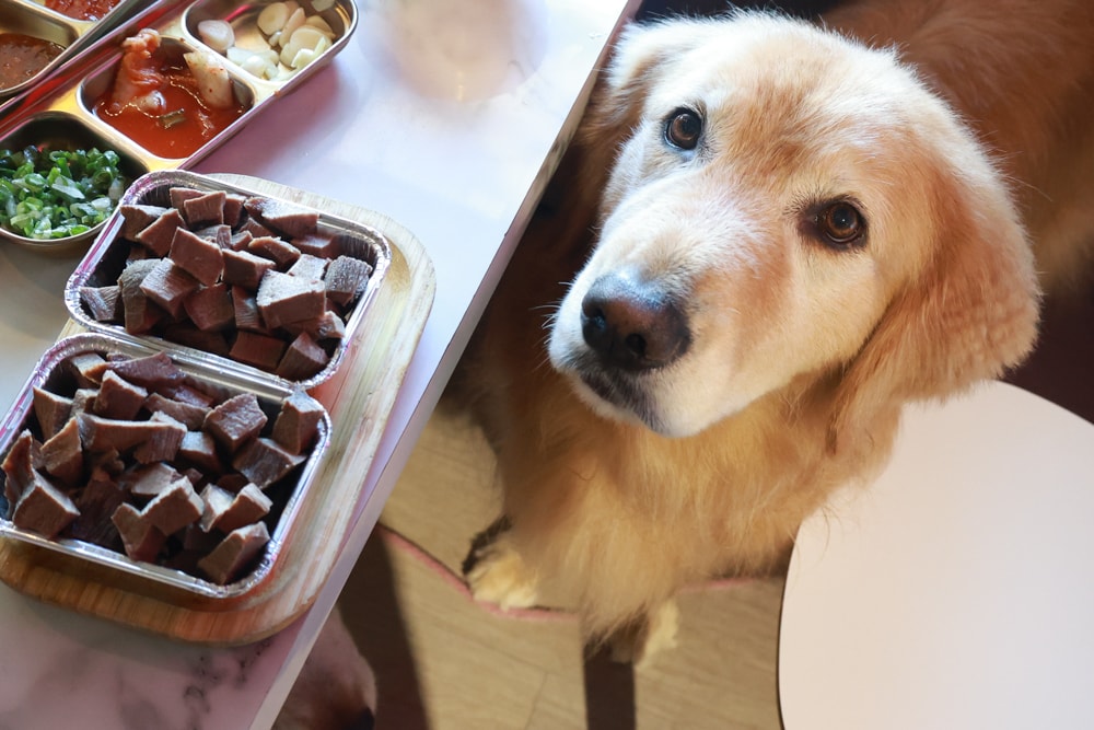 燒肉吉室 宜蘭燒肉吃到飽｜宜蘭寵物友善餐廳、狗狗鮮食餐吃到飽、炭火燒烤、桌邊撥蝦服務