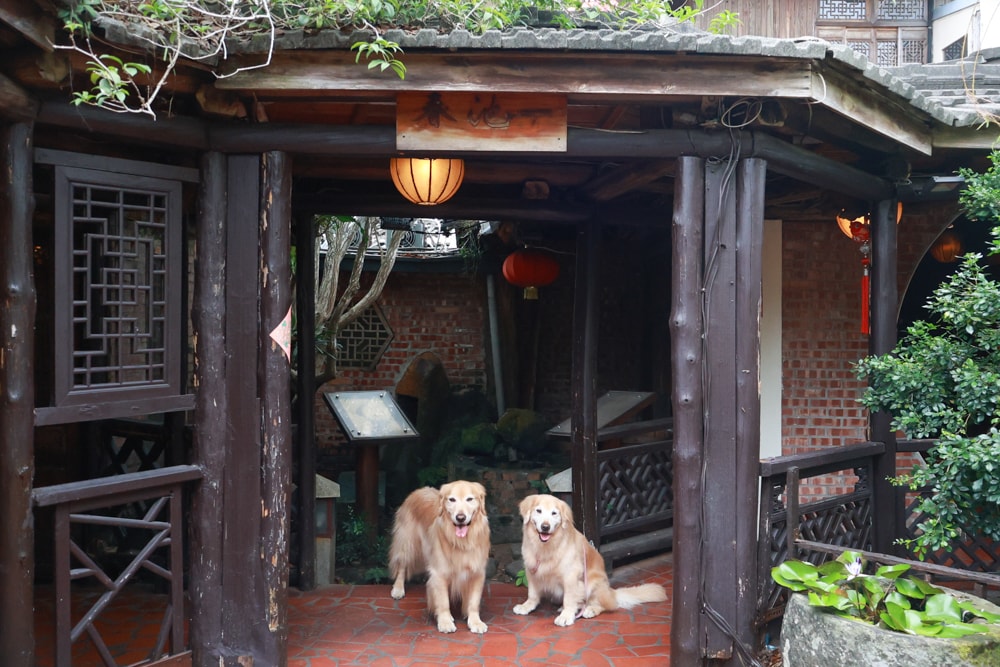嘉義竹居茶樓｜嘉義美食、嘉義寵物友善餐廳、港式飲茶、江南古都秘境景觀餐廳、早午餐