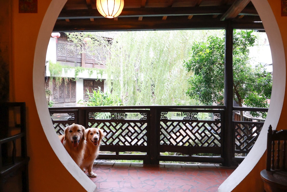 嘉義竹居茶樓｜嘉義美食、嘉義寵物友善餐廳、港式飲茶、江南古都秘境景觀餐廳、早午餐