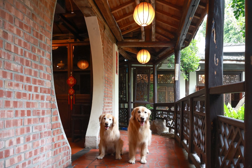嘉義竹居茶樓｜嘉義美食、嘉義寵物友善餐廳、港式飲茶、江南古都秘境景觀餐廳、早午餐