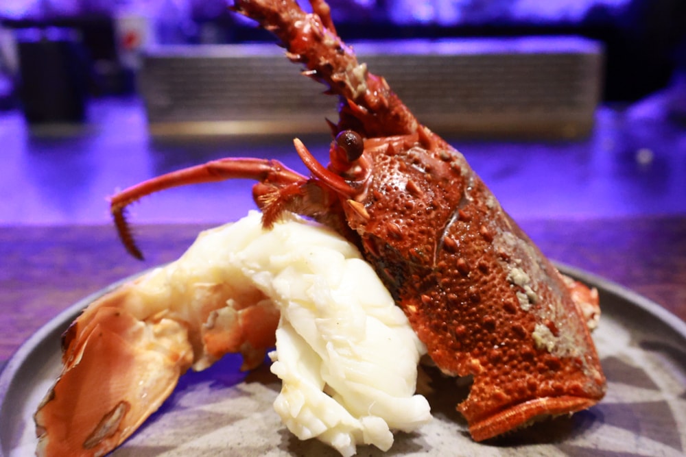 織田信長無菜單手作料理｜桃園中壢美食、無菜單浮誇鐵板燒、十三道海陸饗宴（包場可攜帶寵物）