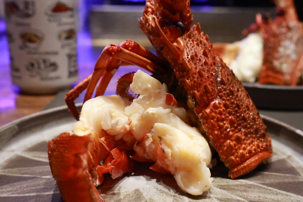 織田信長無菜單手作料理｜桃園中壢美食、無菜單浮誇鐵板燒、十三道海陸饗宴（包場可攜帶寵物）