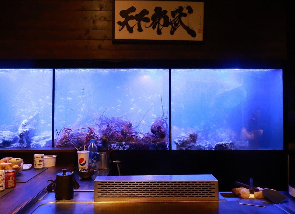 織田信長無菜單手作料理｜桃園中壢美食、無菜單浮誇鐵板燒、十三道海陸饗宴（包場可攜帶寵物）