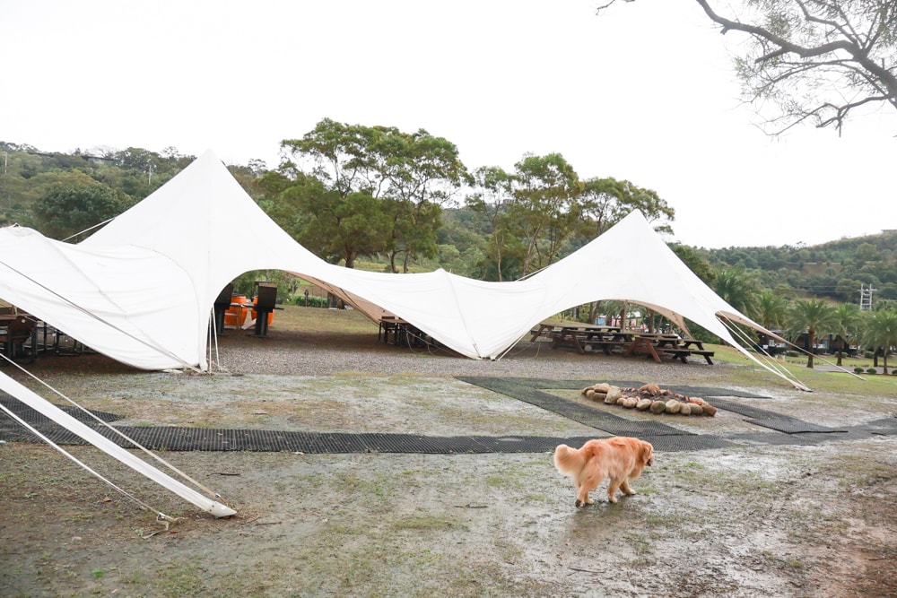 新北貢寮。丹內丹內野奢莊園豪華露營、懶人露營車｜東北角寵物友善、親子友善、法式星空屋、全包式度假體驗