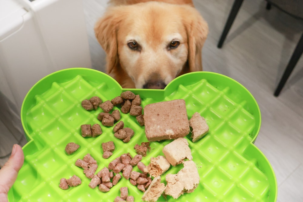 美國VE唯一鮮肉生食餐|挑嘴狗狗最愛的五星美味狗狗凍乾!狗狗主食、狗狗飼料、犬糧、狗乾糧 - 第18張圖 美國VE唯一鮮肉生食餐|挑嘴狗狗最愛的五星美味狗狗凍乾!狗狗主食、狗狗飼料、犬糧、狗乾糧