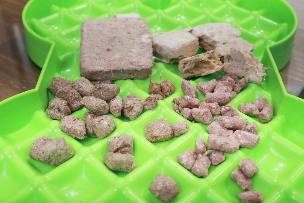 美國VE唯一鮮肉生食餐|挑嘴狗狗最愛的五星美味狗狗凍乾!狗狗主食、狗狗飼料、犬糧、狗乾糧 - 第25張圖 美國VE唯一鮮肉生食餐|挑嘴狗狗最愛的五星美味狗狗凍乾!狗狗主食、狗狗飼料、犬糧、狗乾糧