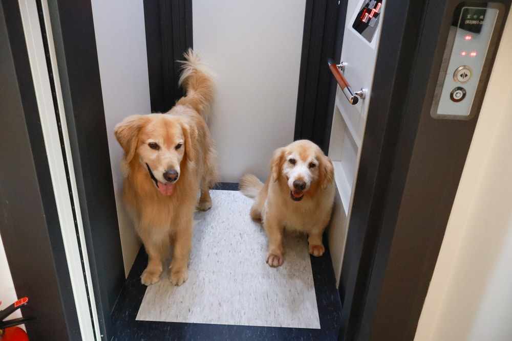 宜蘭礁溪|那裡 bed and breakfast。獨棟簡約輕奢風電梯民宿、寵物友善、渡假私宅、可包棟 - 第17張圖 宜蘭礁溪|那裡 bed and breakfast。獨棟簡約輕奢風電梯民宿、寵物友善、渡假私宅、可包棟