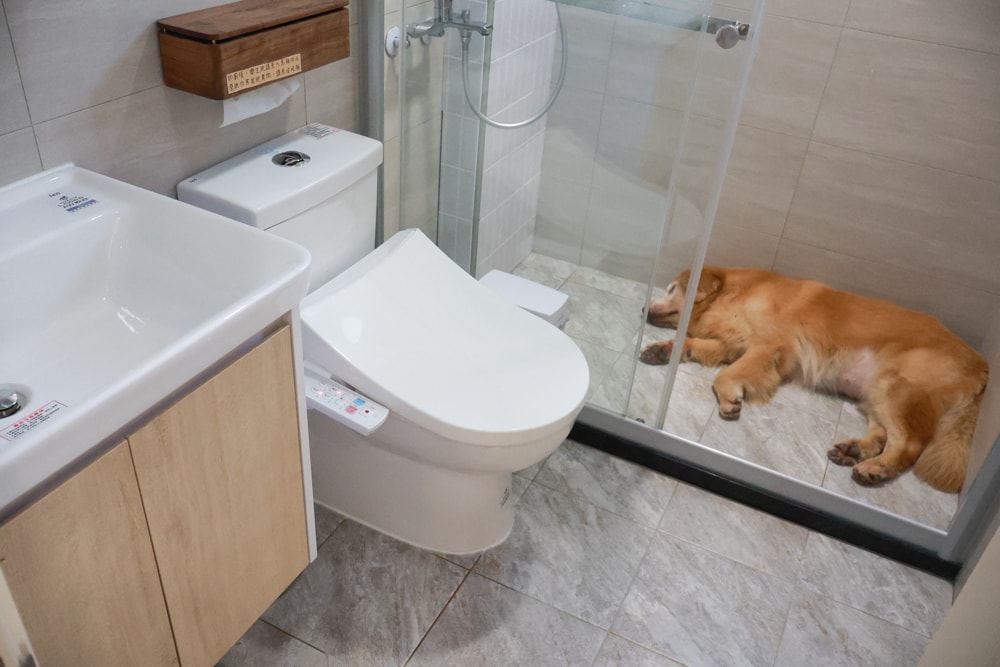 宜蘭礁溪|那裡 bed and breakfast。獨棟簡約輕奢風電梯民宿、寵物友善、渡假私宅、可包棟 - 第31張圖 宜蘭礁溪|那裡 bed and breakfast。獨棟簡約輕奢風電梯民宿、寵物友善、渡假私宅、可包棟