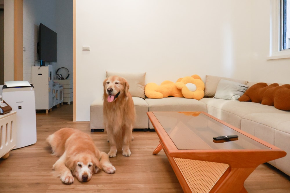 宜蘭礁溪|那裡 bed and breakfast。獨棟簡約輕奢風電梯民宿、寵物友善、渡假私宅、可包棟 - 第44張圖 宜蘭礁溪|那裡 bed and breakfast。獨棟簡約輕奢風電梯民宿、寵物友善、渡假私宅、可包棟