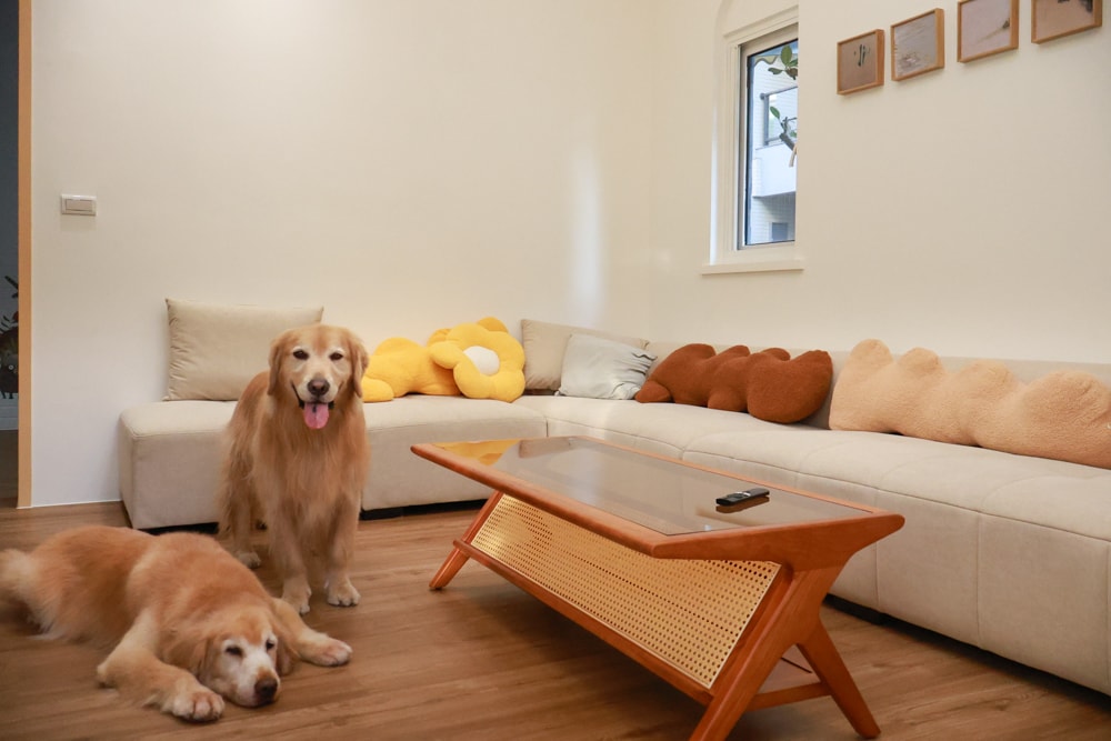 宜蘭礁溪|那裡 bed and breakfast。獨棟簡約輕奢風電梯民宿、寵物友善、渡假私宅、可包棟 - 第8張圖 宜蘭礁溪|那裡 bed and breakfast。獨棟簡約輕奢風電梯民宿、寵物友善、渡假私宅、可包棟