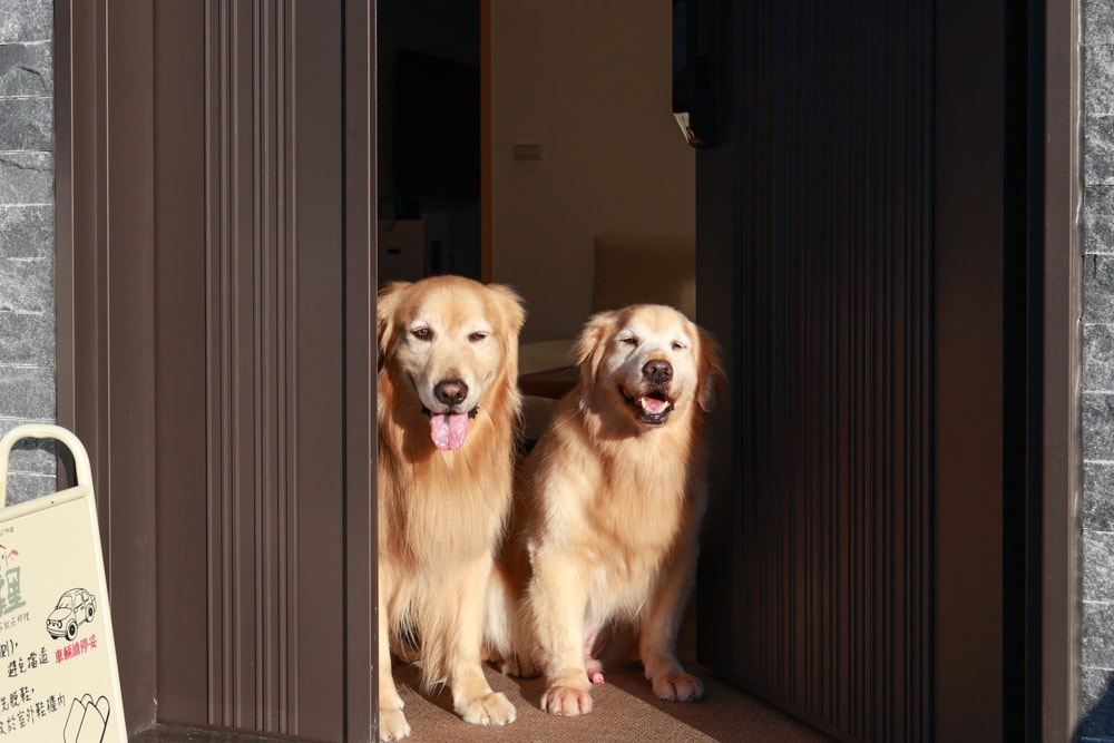 宜蘭礁溪|那裡 bed and breakfast。獨棟簡約輕奢風電梯民宿、寵物友善、渡假私宅、可包棟 - 第2張圖 宜蘭礁溪|那裡 bed and breakfast。獨棟簡約輕奢風電梯民宿、寵物友善、渡假私宅、可包棟