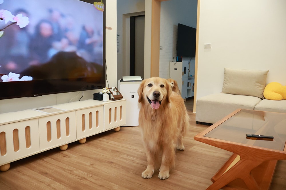 宜蘭礁溪|那裡 bed and breakfast。獨棟簡約輕奢風電梯民宿、寵物友善、渡假私宅、可包棟 - 第7張圖 宜蘭礁溪|那裡 bed and breakfast。獨棟簡約輕奢風電梯民宿、寵物友善、渡假私宅、可包棟