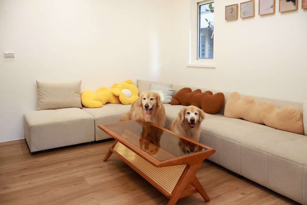 宜蘭礁溪|那裡 bed and breakfast。獨棟簡約輕奢風電梯民宿、寵物友善、渡假私宅、可包棟 - 第6張圖 宜蘭礁溪|那裡 bed and breakfast。獨棟簡約輕奢風電梯民宿、寵物友善、渡假私宅、可包棟