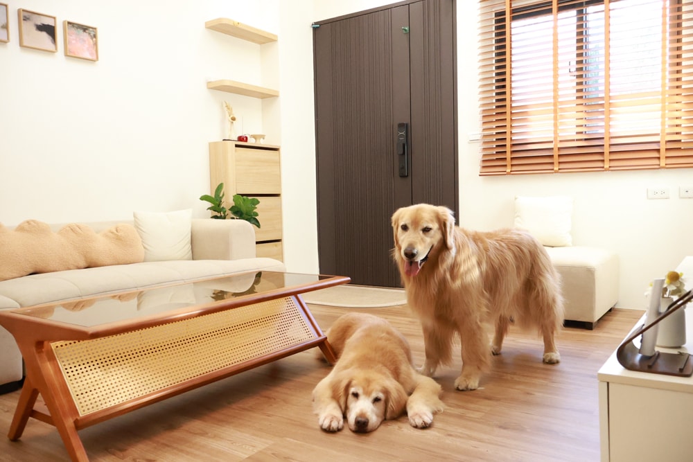 宜蘭礁溪|那裡 bed and breakfast。獨棟簡約輕奢風電梯民宿、寵物友善、渡假私宅、可包棟 - 第4張圖 宜蘭礁溪|那裡 bed and breakfast。獨棟簡約輕奢風電梯民宿、寵物友善、渡假私宅、可包棟