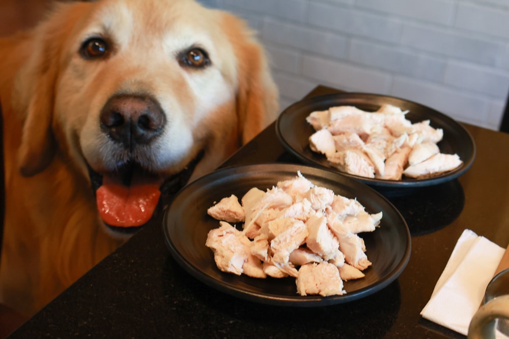 宜蘭礁溪|那裡 bed and breakfast。獨棟簡約輕奢風電梯民宿、寵物友善、渡假私宅、可包棟 - 第43張圖 宜蘭礁溪|那裡 bed and breakfast。獨棟簡約輕奢風電梯民宿、寵物友善、渡假私宅、可包棟