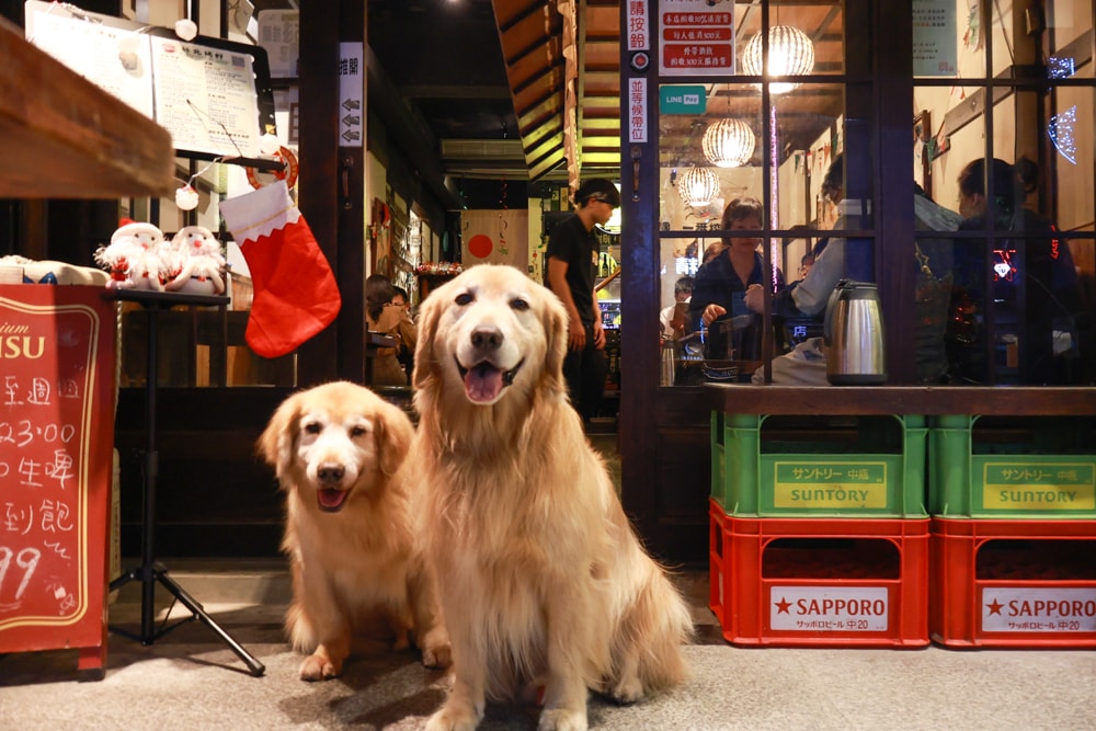 宜蘭礁溪美食|林北烤好串燒居酒屋。寵物友善餐廳、礁溪邪惡宵夜、宜蘭最強居酒屋推薦 - 第2張圖 宜蘭礁溪美食|林北烤好串燒居酒屋。寵物友善餐廳、礁溪邪惡宵夜、宜蘭最強居酒屋推薦