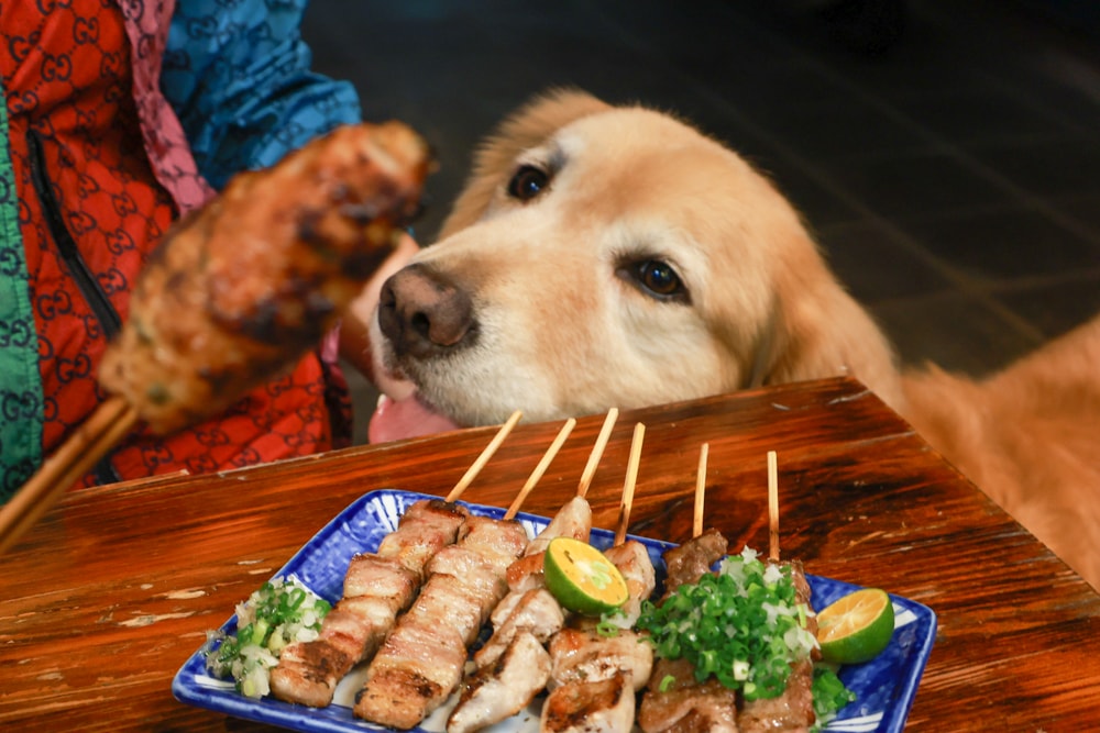 宜蘭礁溪美食|林北烤好串燒居酒屋。寵物友善餐廳、礁溪邪惡宵夜、宜蘭最強居酒屋推薦 - 第7張圖 宜蘭礁溪美食|林北烤好串燒居酒屋。寵物友善餐廳、礁溪邪惡宵夜、宜蘭最強居酒屋推薦
