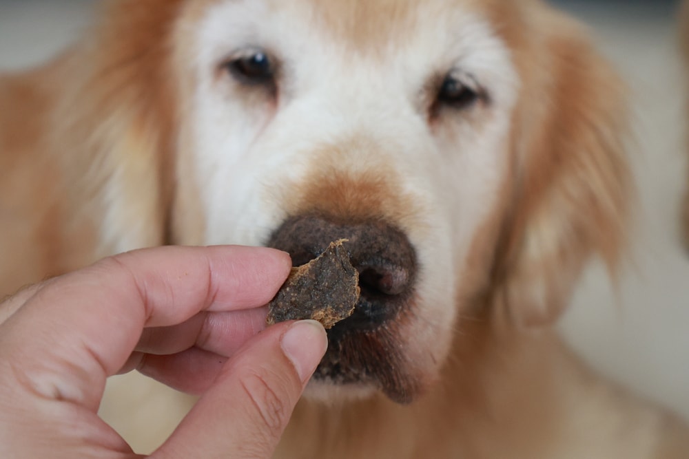 Soulmate索美達狗狗凍乾生食餐、狗狗生食肉片餐、低溫烘焙糧+鮮食肉片｜來自紐西蘭大自然的毛孩饗宴。犬糧、狗飼料、凍乾、生食、生食肉片、草飼牛