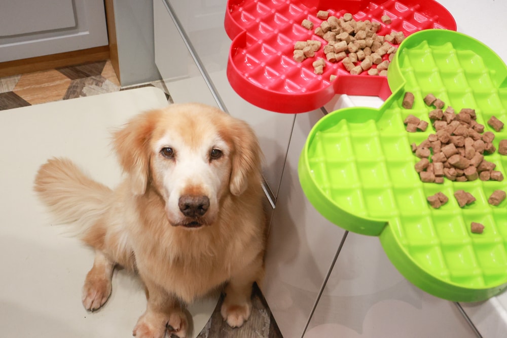 Soulmate索美達狗狗凍乾生食餐、狗狗生食肉片餐、低溫烘焙糧+鮮食肉片｜來自紐西蘭大自然的毛孩饗宴。犬糧、狗飼料、凍乾、生食、生食肉片、草飼牛