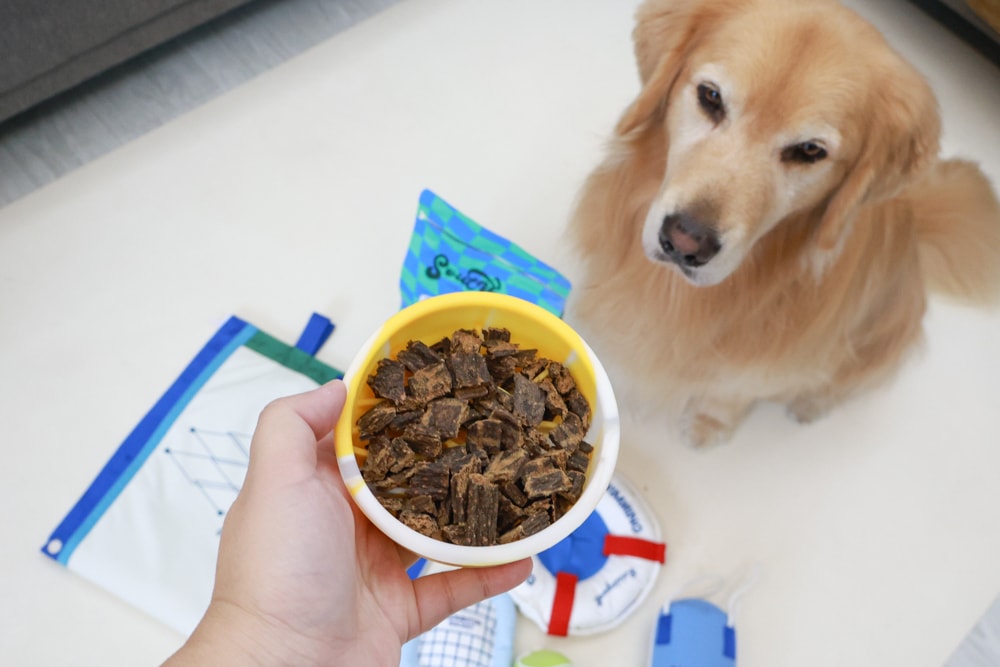 Soulmate索美達狗狗凍乾生食餐、狗狗生食肉片餐、低溫烘焙糧+鮮食肉片｜來自紐西蘭大自然的毛孩饗宴。犬糧、狗飼料、凍乾、生食、生食肉片、草飼牛