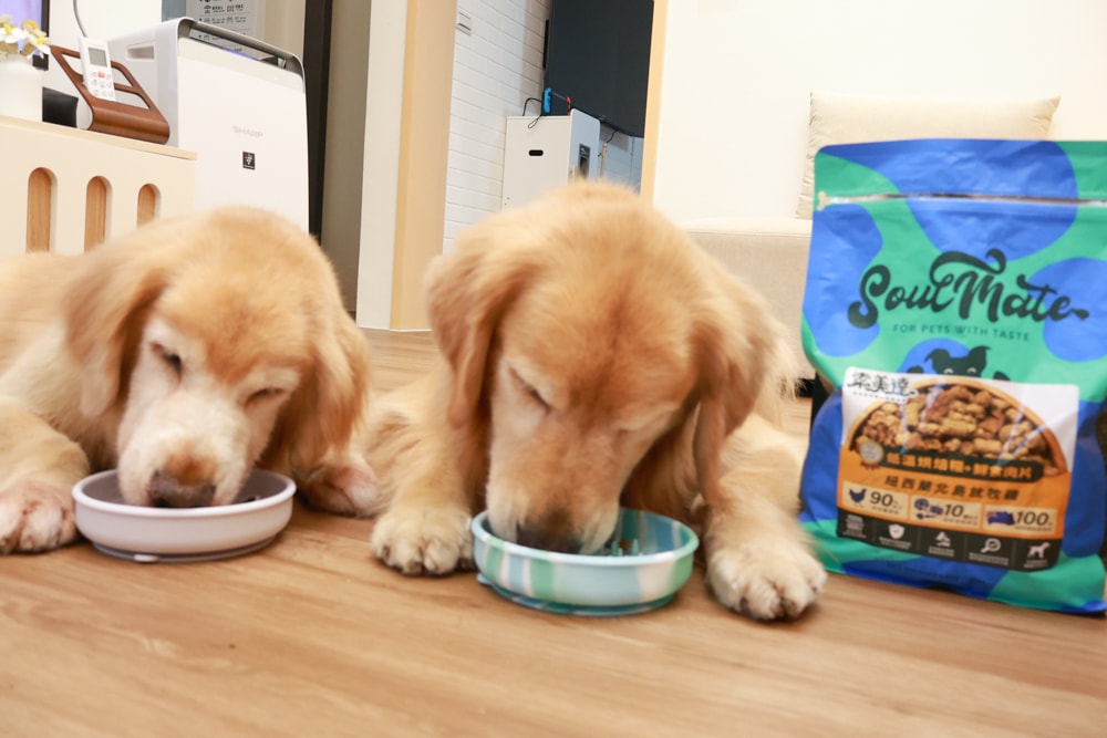 Soulmate索美達狗狗凍乾生食餐、狗狗生食肉片餐、低溫烘焙糧+鮮食肉片｜來自紐西蘭大自然的毛孩饗宴。犬糧、狗飼料、凍乾、生食、生食肉片、草飼牛