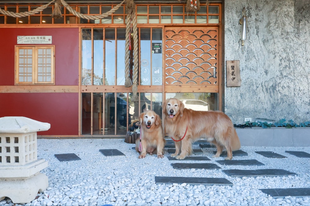 宜蘭五結｜耕壽司宜蘭旗艦店。寵物友善餐廳、來自花蓮的人氣日本料理店、炙燒專家始祖