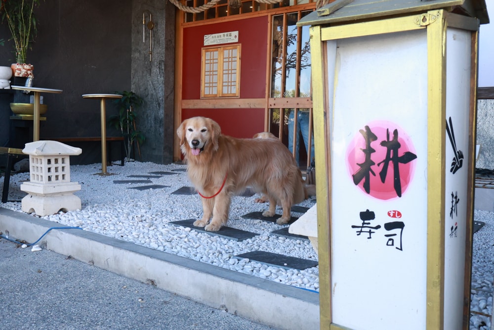 宜蘭五結｜耕壽司宜蘭旗艦店。寵物友善餐廳、來自花蓮的人氣日本料理店、炙燒專家始祖