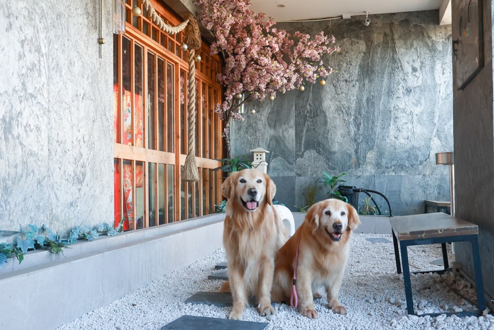 宜蘭五結｜耕壽司宜蘭旗艦店。寵物友善餐廳、來自花蓮的人氣日本料理店、炙燒專家始祖