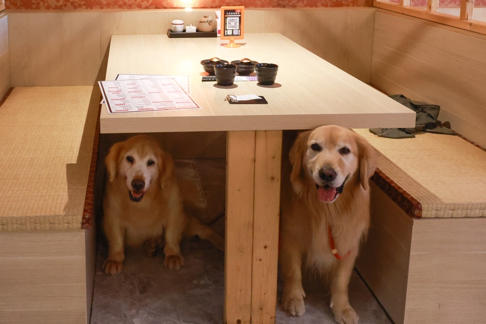 宜蘭五結｜耕壽司宜蘭旗艦店。寵物友善餐廳、來自花蓮的人氣日本料理店、炙燒專家始祖