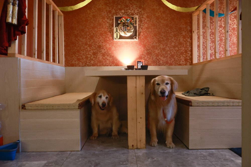 宜蘭五結｜耕壽司宜蘭旗艦店。寵物友善餐廳、來自花蓮的人氣日本料理店、炙燒專家始祖