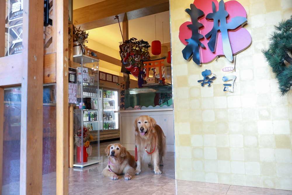 宜蘭五結｜耕壽司宜蘭旗艦店。寵物友善餐廳、來自花蓮的人氣日本料理店、炙燒專家始祖