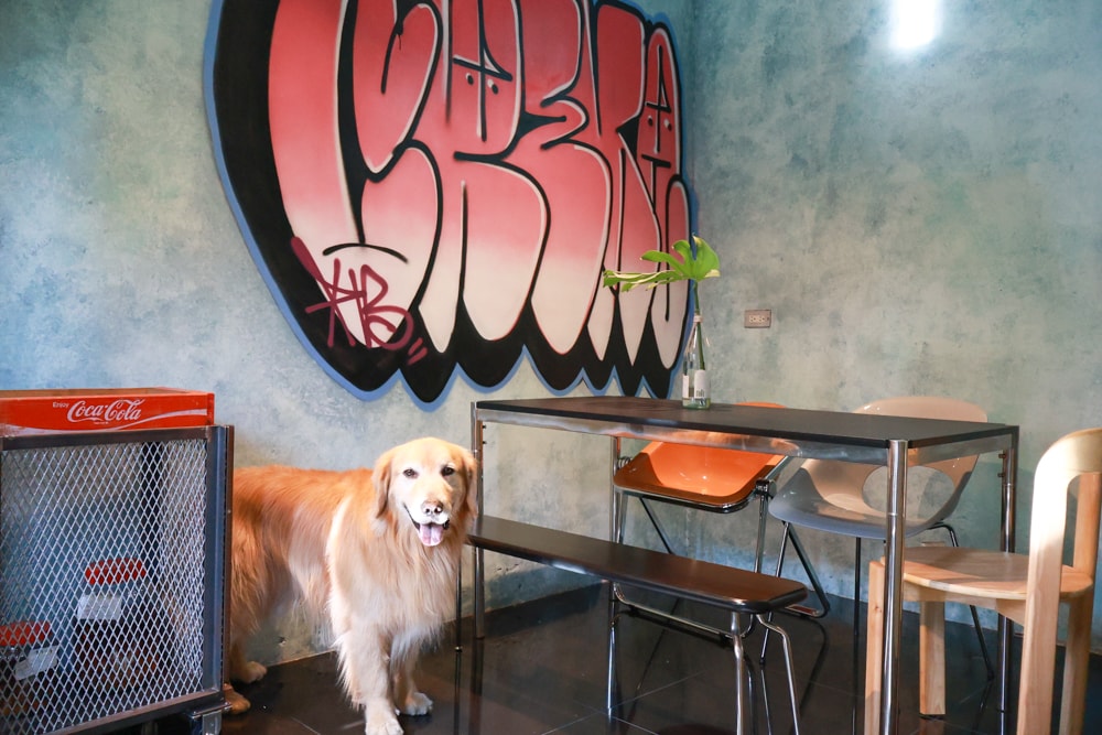 宜蘭五結美食|酷狗咖啡 KUGO CAFÉ。寵物友善餐廳、隱藏巷弄中的超酷美式塗鴉咖啡廳、美式工業風、隱藏油飯 - 第6張圖 宜蘭五結美食|酷狗咖啡 KUGO CAFÉ。寵物友善餐廳、隱藏巷弄中的超酷美式塗鴉咖啡廳、美式工業風、隱藏油飯