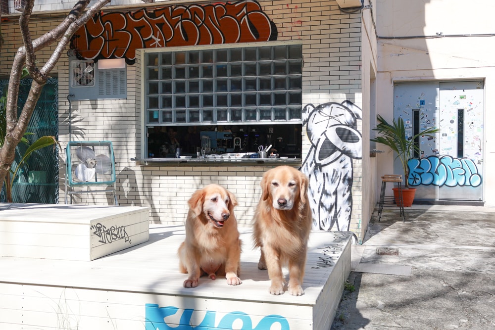 宜蘭五結美食|酷狗咖啡 KUGO CAFÉ。寵物友善餐廳、隱藏巷弄中的超酷美式塗鴉咖啡廳、美式工業風、隱藏油飯 - 第2張圖 宜蘭五結美食|酷狗咖啡 KUGO CAFÉ。寵物友善餐廳、隱藏巷弄中的超酷美式塗鴉咖啡廳、美式工業風、隱藏油飯