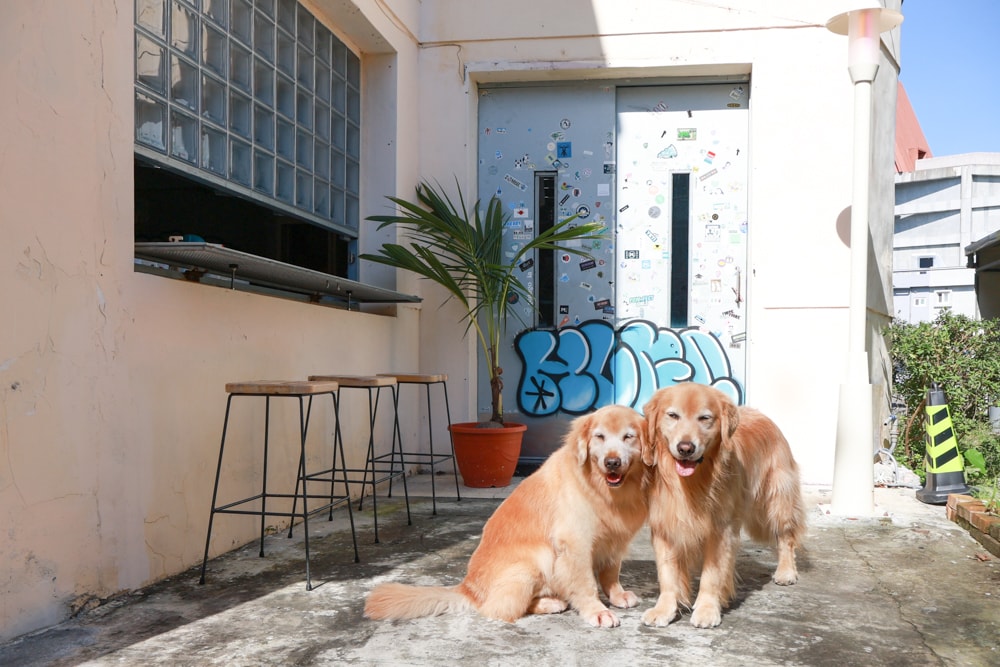 宜蘭五結美食|酷狗咖啡 KUGO CAFÉ。寵物友善餐廳、隱藏巷弄中的超酷美式塗鴉咖啡廳、美式工業風、隱藏油飯 - 第5張圖 宜蘭五結美食|酷狗咖啡 KUGO CAFÉ。寵物友善餐廳、隱藏巷弄中的超酷美式塗鴉咖啡廳、美式工業風、隱藏油飯