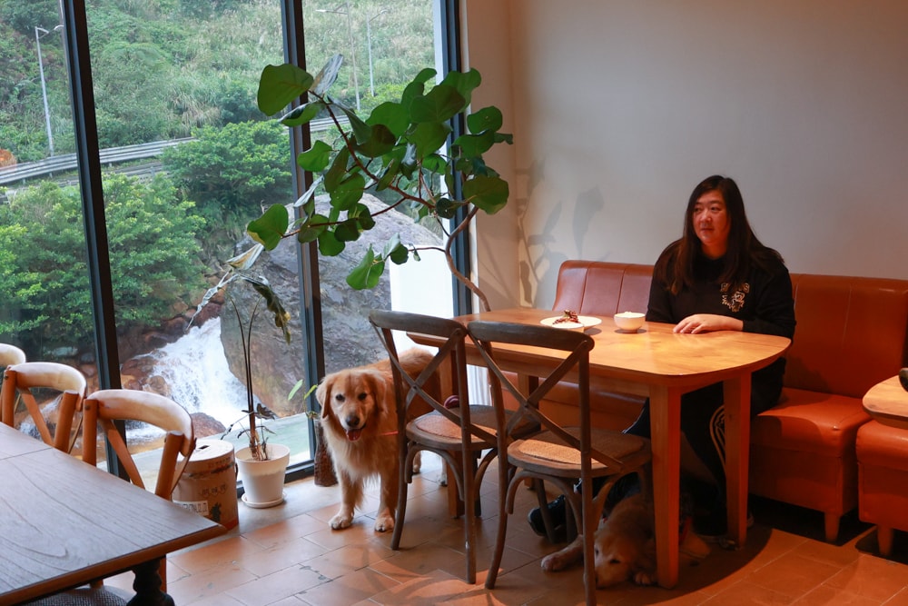 新北瑞芳美食｜水湳洞食不厭。寵物友善餐廳、懷舊老屋餐廳內品嚐古早味家常料理！