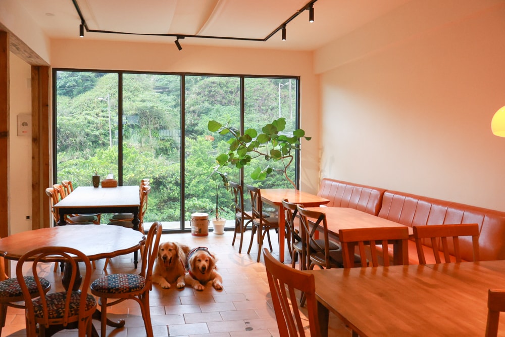 新北瑞芳美食｜水湳洞食不厭。寵物友善餐廳、懷舊老屋餐廳內品嚐古早味家常料理！