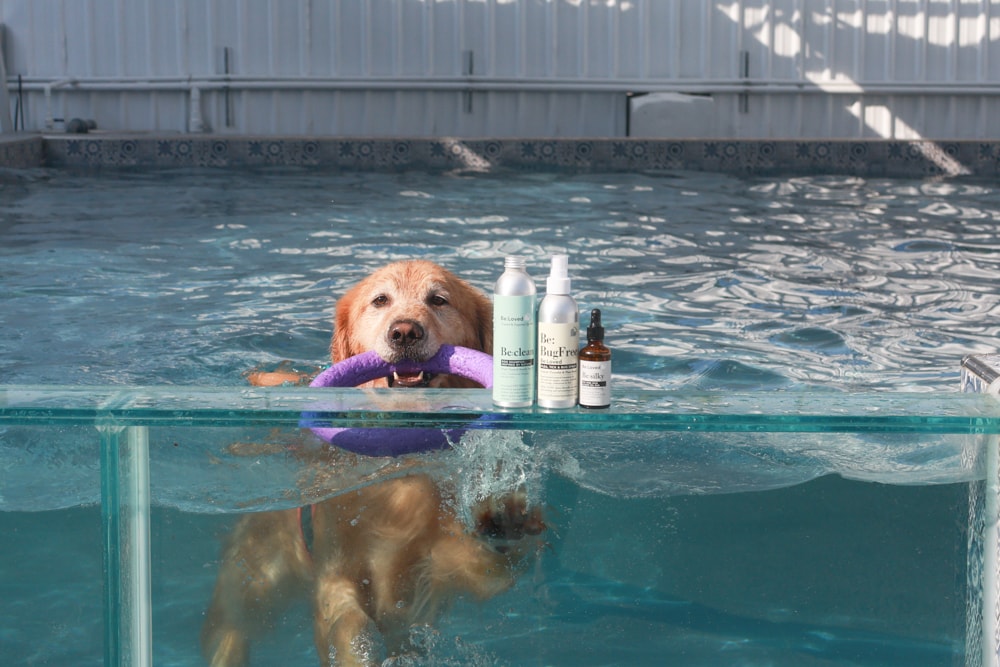 英國寵物Be:Loved寵愛系列|寵愛潤澤 – 天然護毛精油、寵愛森活 – 蘆薈天然柔順洗毛精、寵愛防護 – 天然驅蟲精油噴霧。英國純天然製作、專寵毛孩 - 第1張圖 英國寵物Be:Loved寵愛系列|寵愛潤澤 – 天然護毛精油、寵愛森活 – 蘆薈天然柔順洗毛精、寵愛防護 – 天然驅蟲精油噴霧。英國純天然製作、專寵毛孩