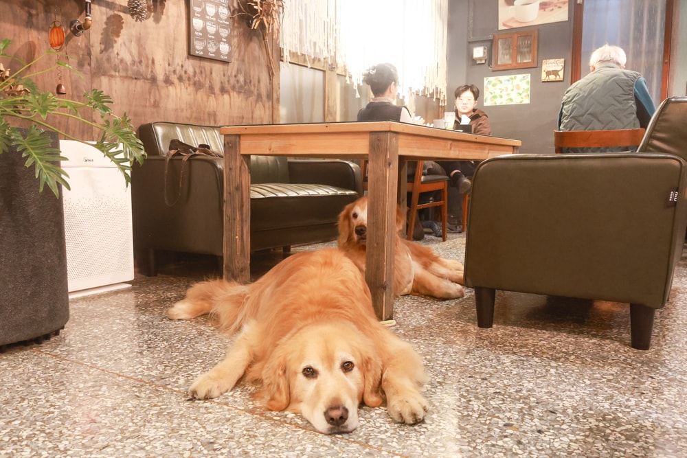 台南南區美食|漫漫弄。鹽埕老宅早午餐、台南寵物友善餐廳、森林系復古餐廳、台南老宅咖啡廳 - 第8張圖 台南南區美食|漫漫弄。鹽埕老宅早午餐、台南寵物友善餐廳、森林系復古餐廳、台南老宅咖啡廳