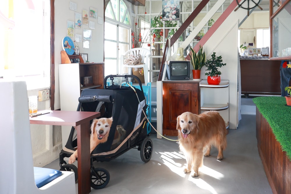台南安平｜舫Home Cafe。舫咖啡、寵物友善餐廳、搭船喝咖啡、台南必訪、台灣第一艘船隻咖啡廳、浪漫海景一次享受！