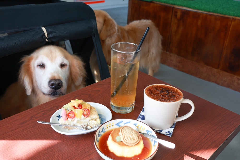 台南安平｜舫Home Cafe。舫咖啡、寵物友善餐廳、搭船喝咖啡、台南必訪、台灣第一艘船隻咖啡廳、浪漫海景一次享受！