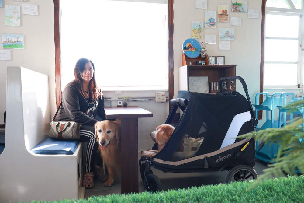 台南安平｜舫Home Cafe。舫咖啡、寵物友善餐廳、搭船喝咖啡、台南必訪、台灣第一艘船隻咖啡廳、浪漫海景一次享受！