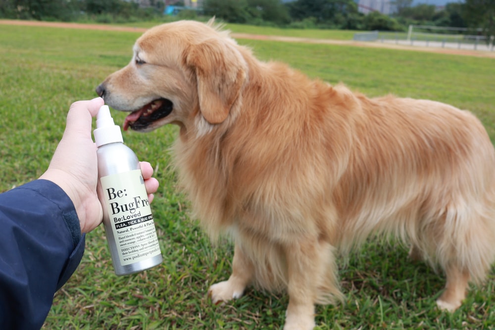 英國寵物Be:Loved寵愛系列|寵愛潤澤 – 天然護毛精油、寵愛森活 – 蘆薈天然柔順洗毛精、寵愛防護 – 天然驅蟲精油噴霧。英國純天然製作、專寵毛孩 - 第17張圖 英國寵物Be:Loved寵愛系列|寵愛潤澤 – 天然護毛精油、寵愛森活 – 蘆薈天然柔順洗毛精、寵愛防護 – 天然驅蟲精油噴霧。英國純天然製作、專寵毛孩