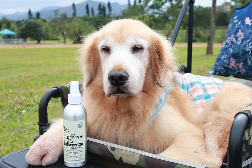 英國寵物Be:Loved寵愛系列|寵愛潤澤 – 天然護毛精油、寵愛森活 – 蘆薈天然柔順洗毛精、寵愛防護 – 天然驅蟲精油噴霧。英國純天然製作、專寵毛孩 - 第15張圖 英國寵物Be:Loved寵愛系列|寵愛潤澤 – 天然護毛精油、寵愛森活 – 蘆薈天然柔順洗毛精、寵愛防護 – 天然驅蟲精油噴霧。英國純天然製作、專寵毛孩