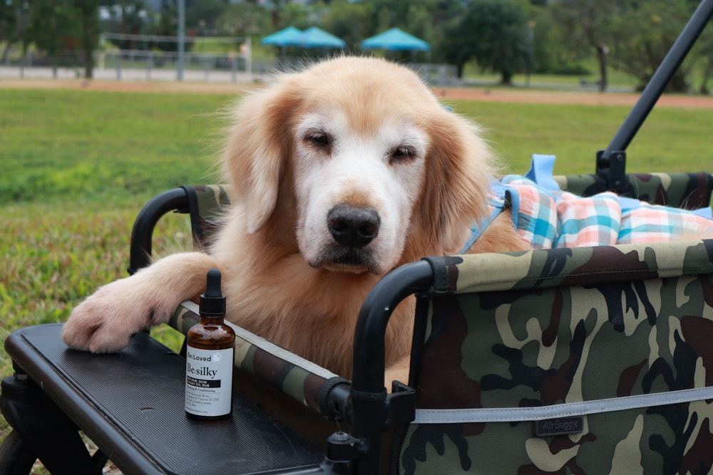 英國寵物Be:Loved寵愛系列|寵愛潤澤 – 天然護毛精油、寵愛森活 – 蘆薈天然柔順洗毛精、寵愛防護 – 天然驅蟲精油噴霧。英國純天然製作、專寵毛孩 - 第20張圖 英國寵物Be:Loved寵愛系列|寵愛潤澤 – 天然護毛精油、寵愛森活 – 蘆薈天然柔順洗毛精、寵愛防護 – 天然驅蟲精油噴霧。英國純天然製作、專寵毛孩