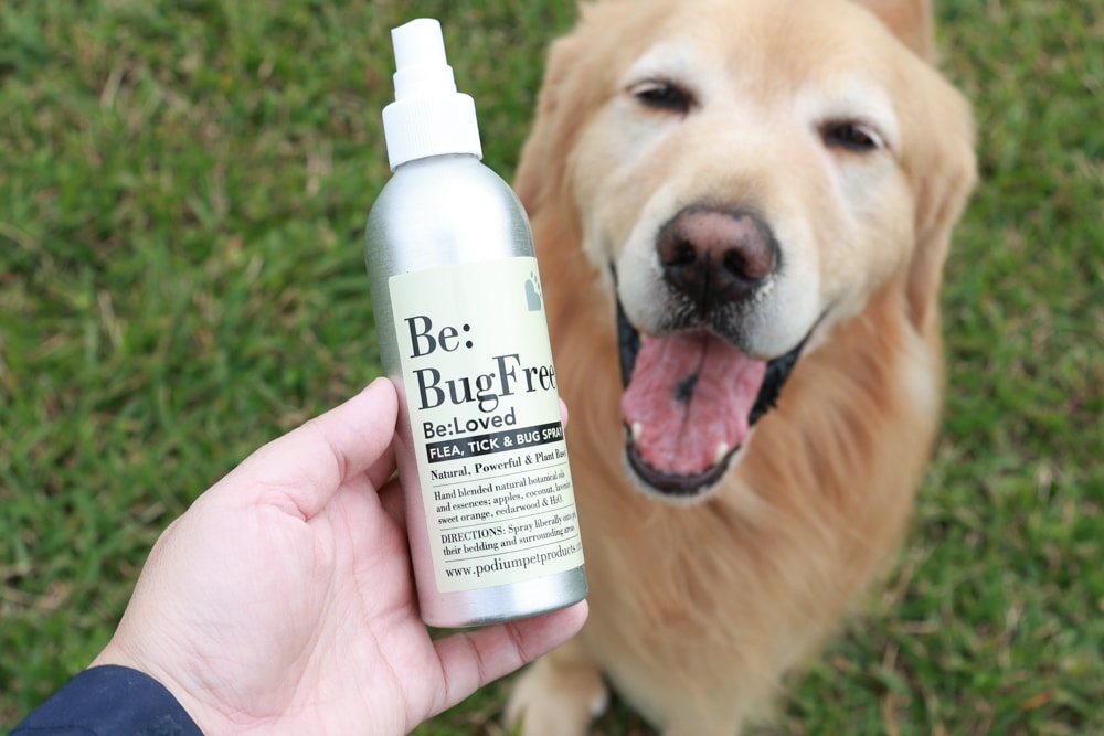 英國寵物Be:Loved寵愛系列|寵愛潤澤 – 天然護毛精油、寵愛森活 – 蘆薈天然柔順洗毛精、寵愛防護 – 天然驅蟲精油噴霧。英國純天然製作、專寵毛孩 - 第14張圖 英國寵物Be:Loved寵愛系列|寵愛潤澤 – 天然護毛精油、寵愛森活 – 蘆薈天然柔順洗毛精、寵愛防護 – 天然驅蟲精油噴霧。英國純天然製作、專寵毛孩