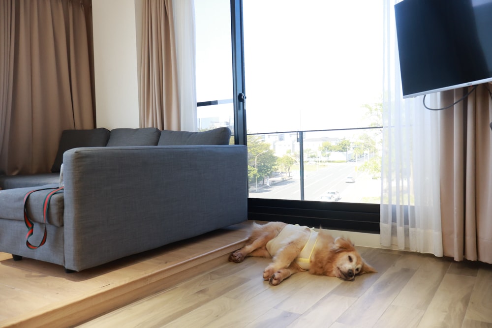 台南安平住宿推薦|衡定理台南安平包棟民宿.畃雨。高質感設計x寵物友善民宿,超值又放鬆的度假首選!! - 第12張圖 台南安平住宿推薦|衡定理台南安平包棟民宿.畃雨。高質感設計x寵物友善民宿,超值又放鬆的度假首選!!