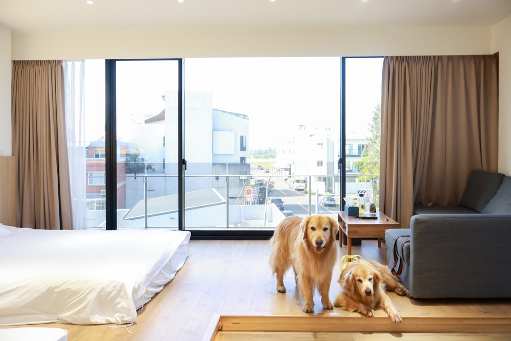 台南安平住宿推薦|衡定理台南安平包棟民宿.畃雨。高質感設計x寵物友善民宿,超值又放鬆的度假首選!! - 第1張圖 台南安平住宿推薦|衡定理台南安平包棟民宿.畃雨。高質感設計x寵物友善民宿,超值又放鬆的度假首選!!